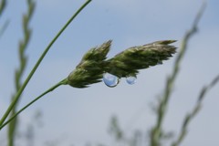 しずくの中の青空