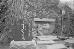 街景25