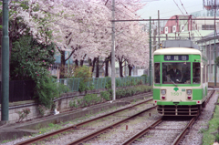 路面電車19