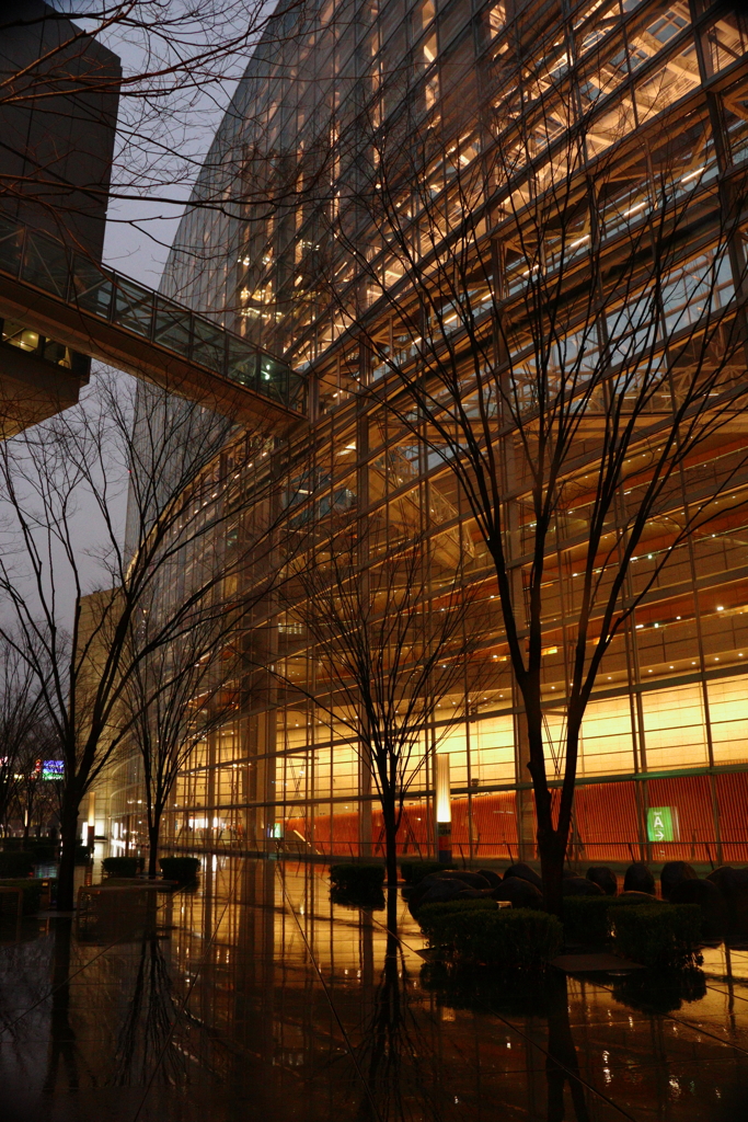 しとしとと静かに