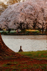 今年はなんか速かったぁ～