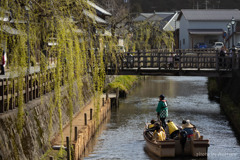 水郷めぐり