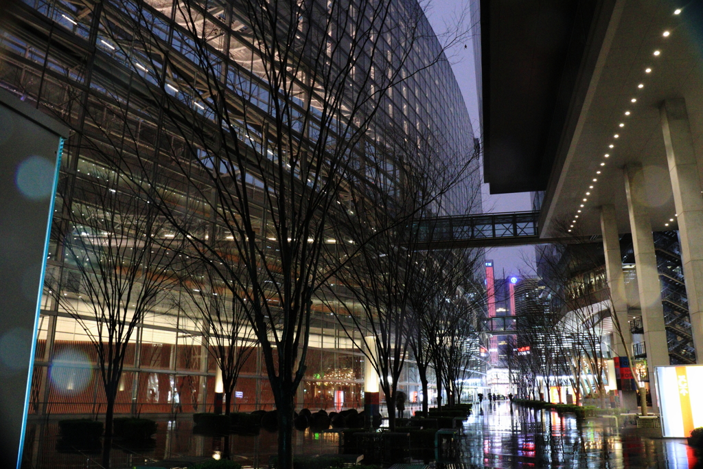 雨に霞む国際フォーラム