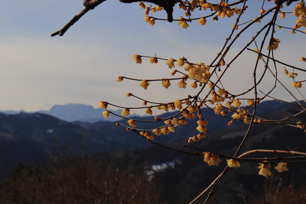両神山を望む