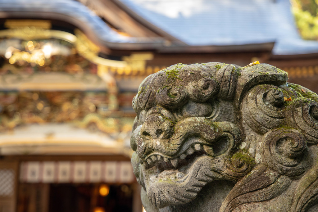 宝登山神社