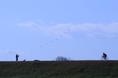 荒川サイクリングロード