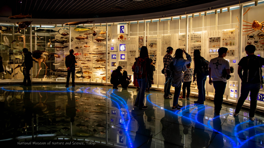 National Museum of Nature and Science, T