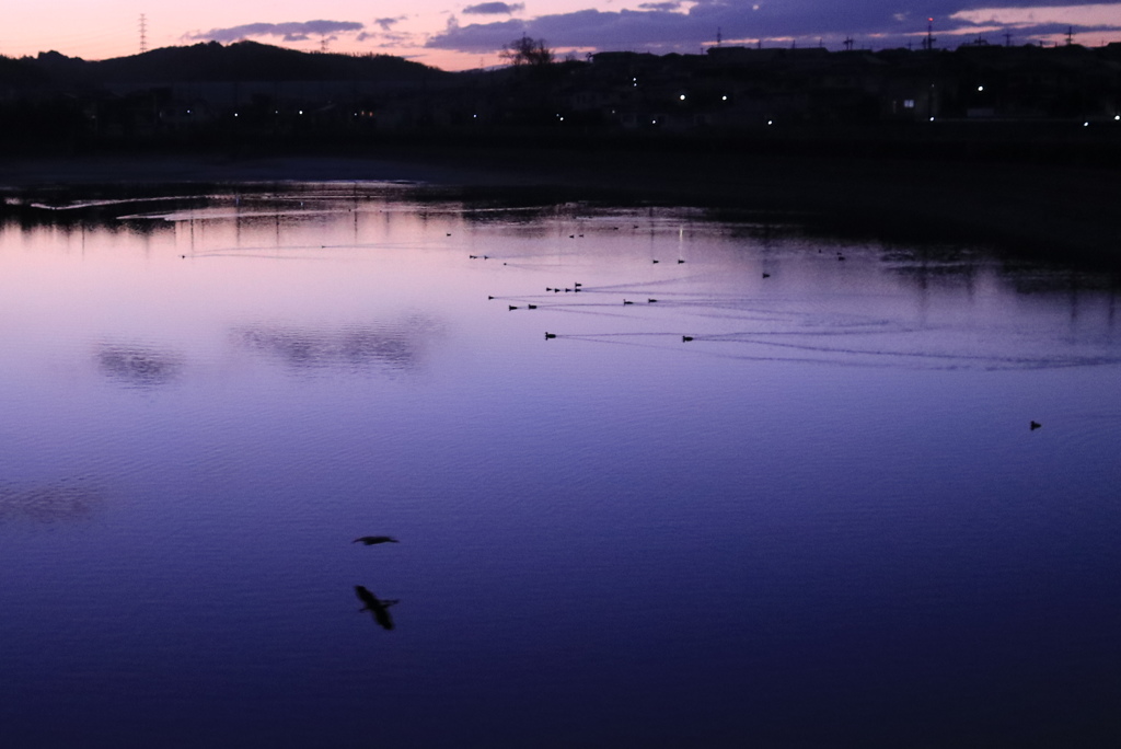 大池　元日の早朝