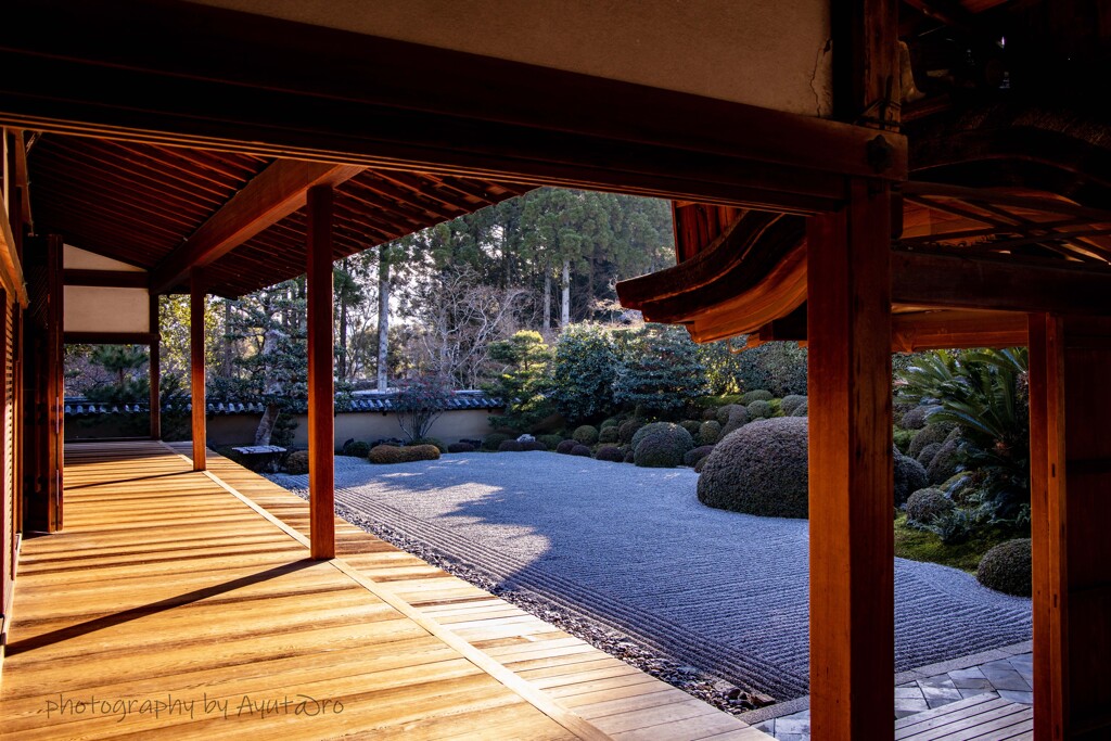 一休寺南庭