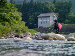 魚野川の夏