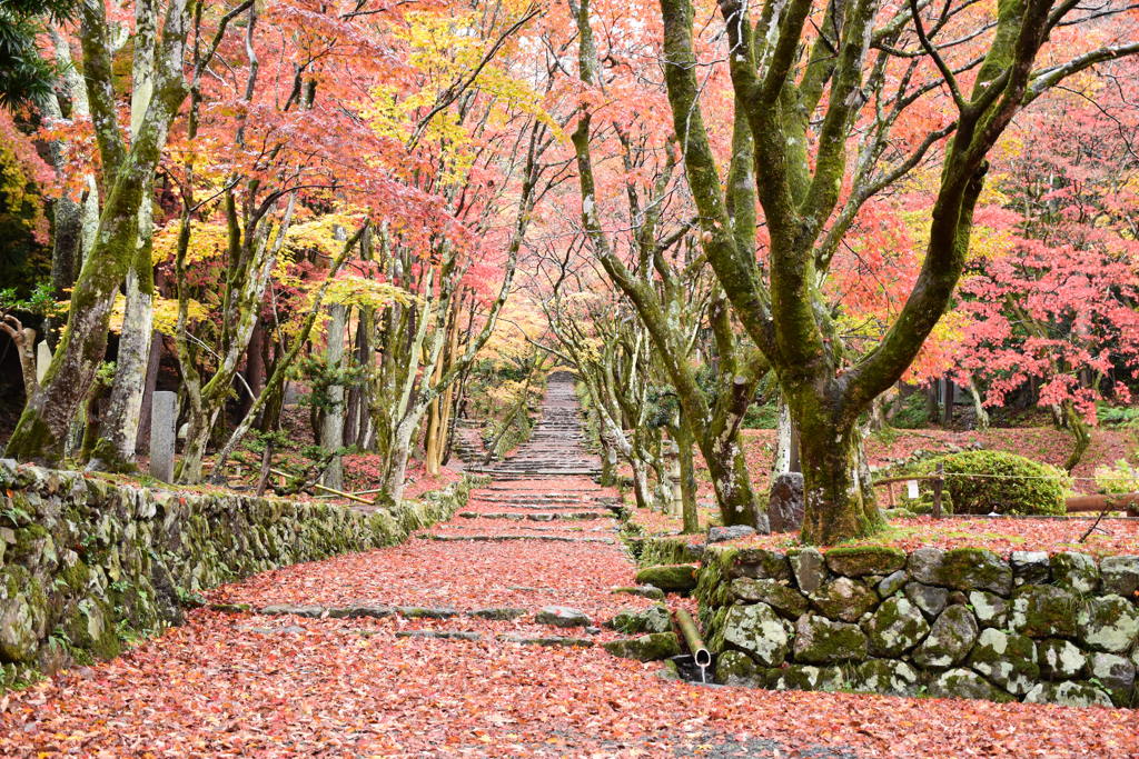 鶏足寺