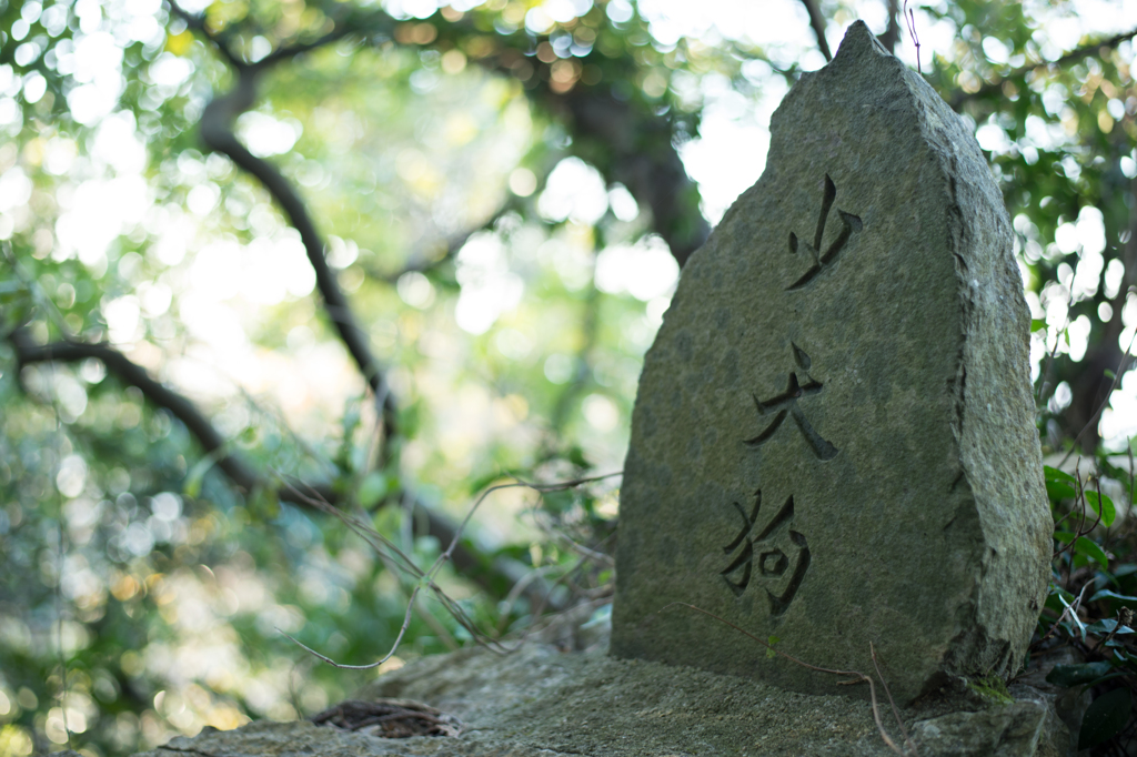 12/21 少天狗の碑