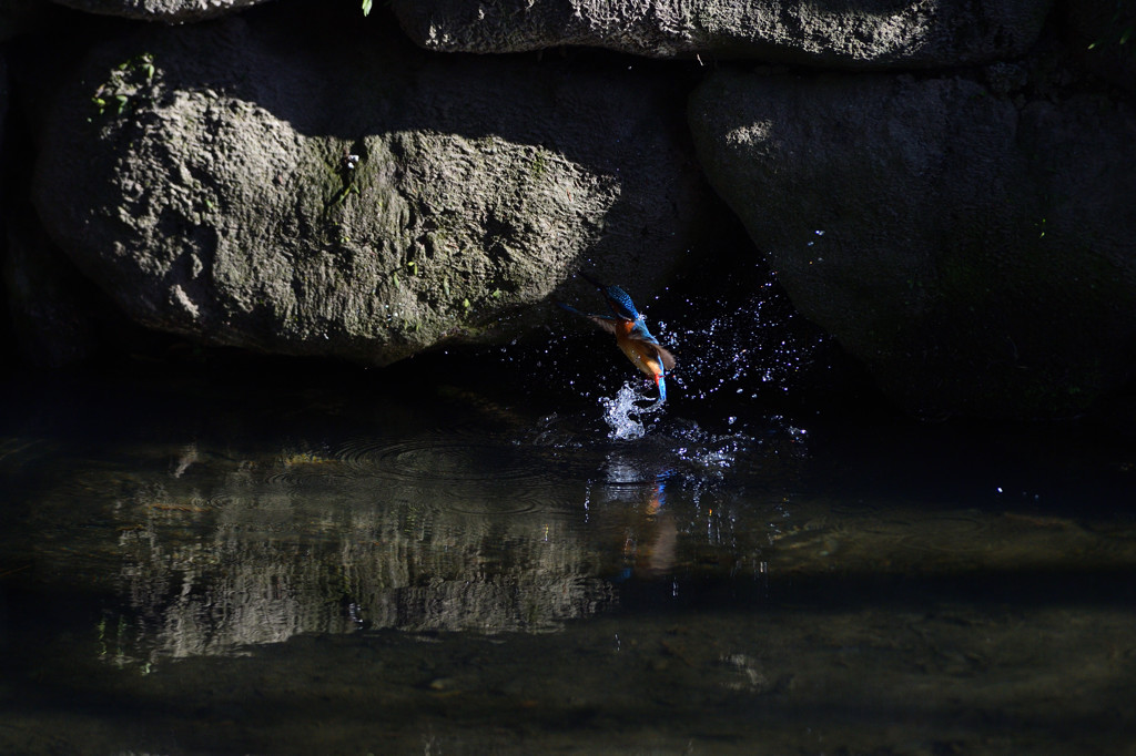 DSC_0043
