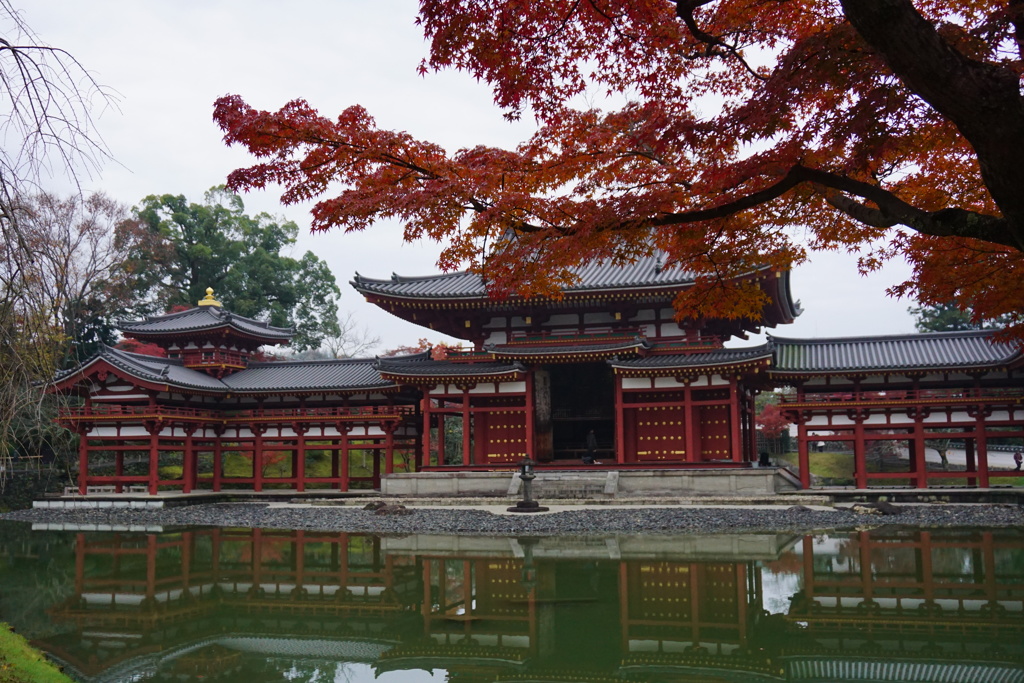 平等院鳳凰堂１