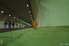 新名神高速道路⑥
