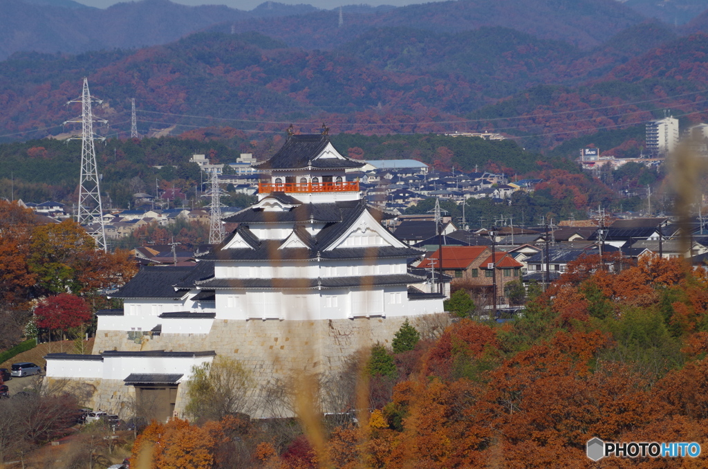 すすきと城