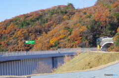 新名神高速道路③