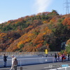 新名神高速道路⑦