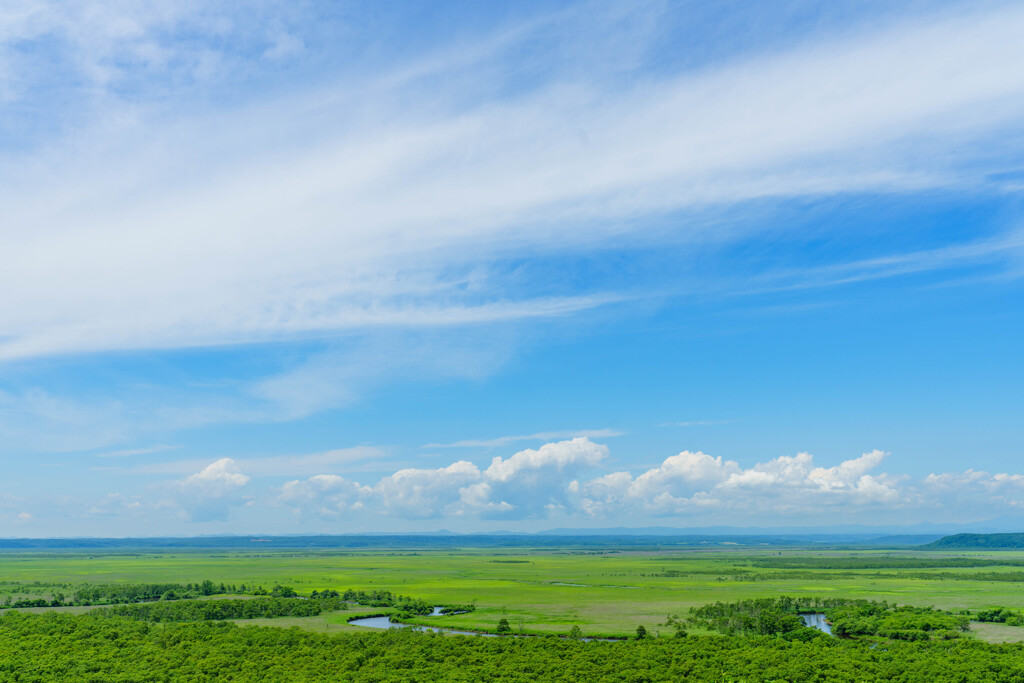 北海道　釧路湿原