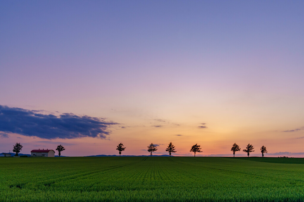 北海道　メルヘンの丘の夕景