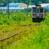 宗谷本線　抜海駅①