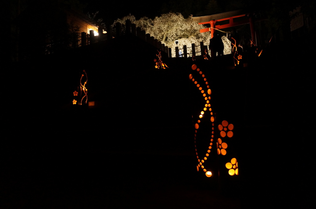 いわき　小川諏訪神社(ライトアップ)