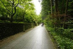 法多山3