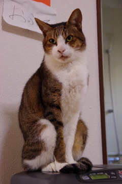 IMGP0609