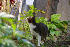 IMGP0028