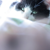 眼差し
