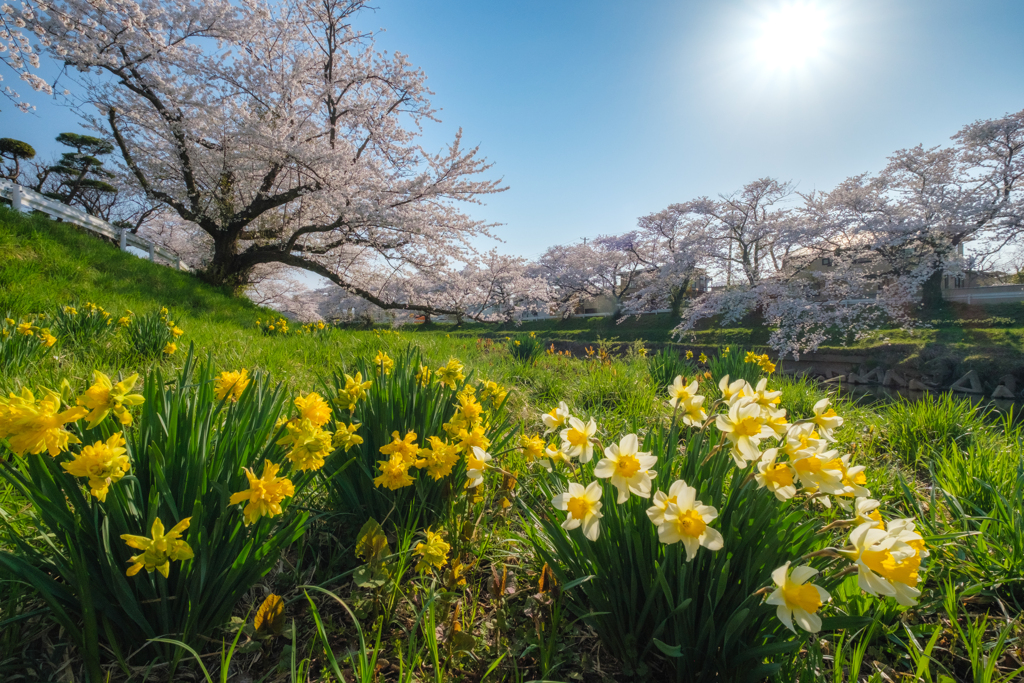 出勤前の朝活より