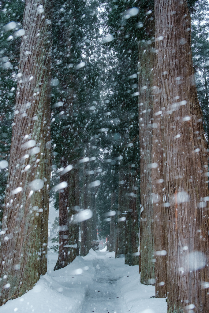 横殴りの雪