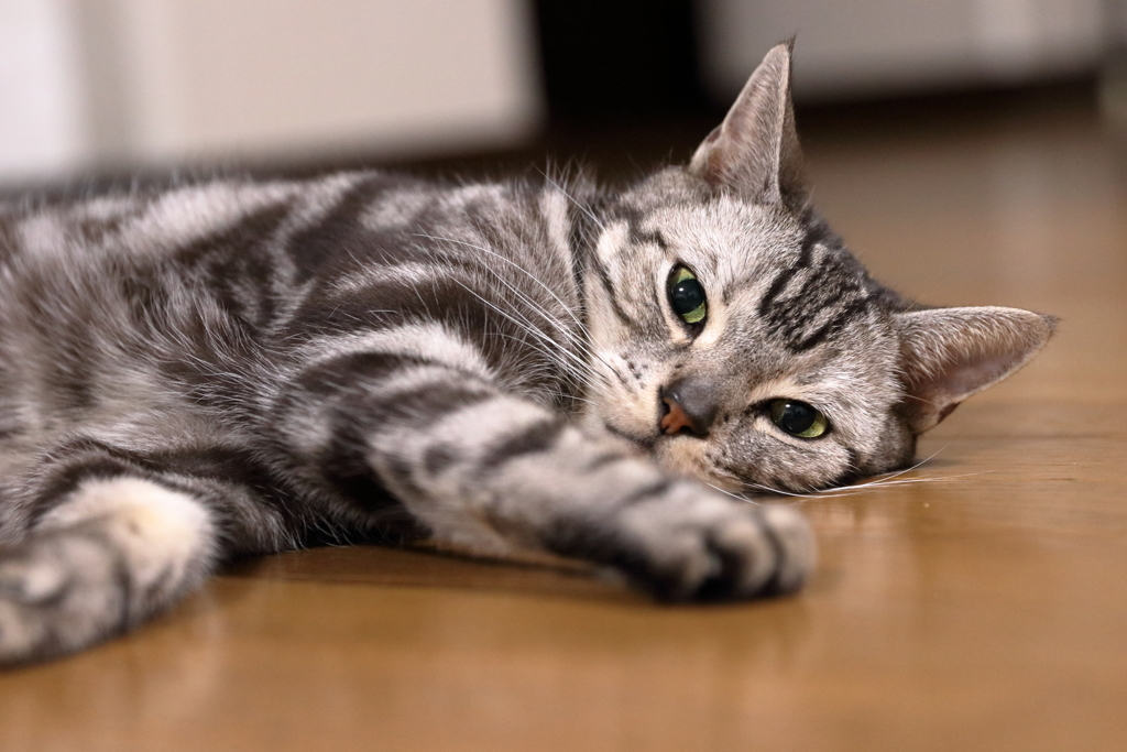 うざーい
