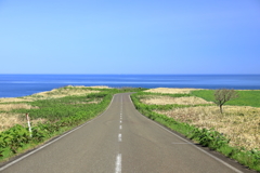 岬への道