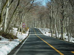 雪解けの峠道