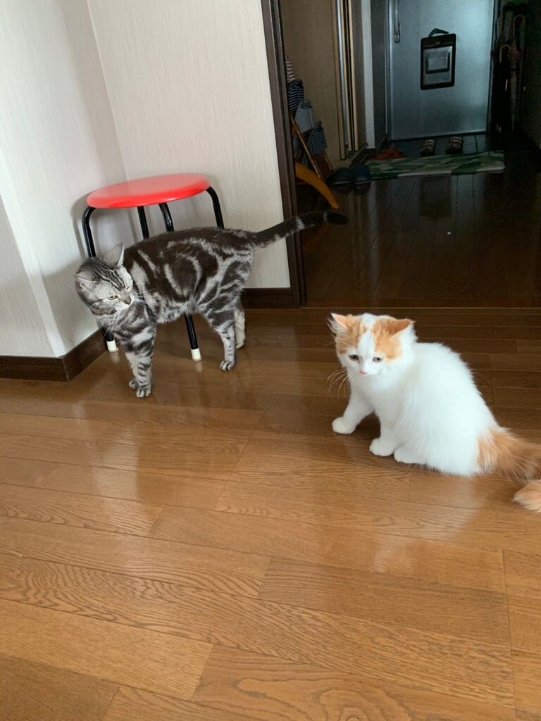 ガン見