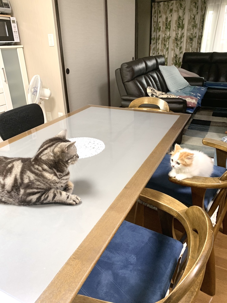 仲良くしてほしいなぁ