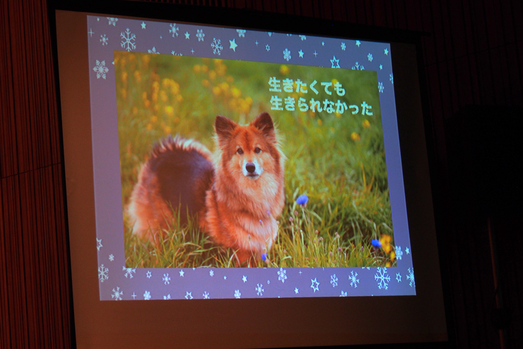 第16回アニマルチャリティコンサートinめぐろパーシモンホール