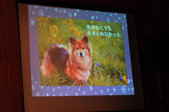 第16回アニマルチャリティコンサートinめぐろパーシモンホール