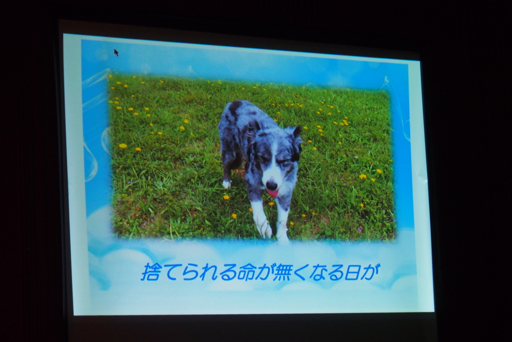 第17回アニマルチャリティコンサートinめぐろパーシモンホール