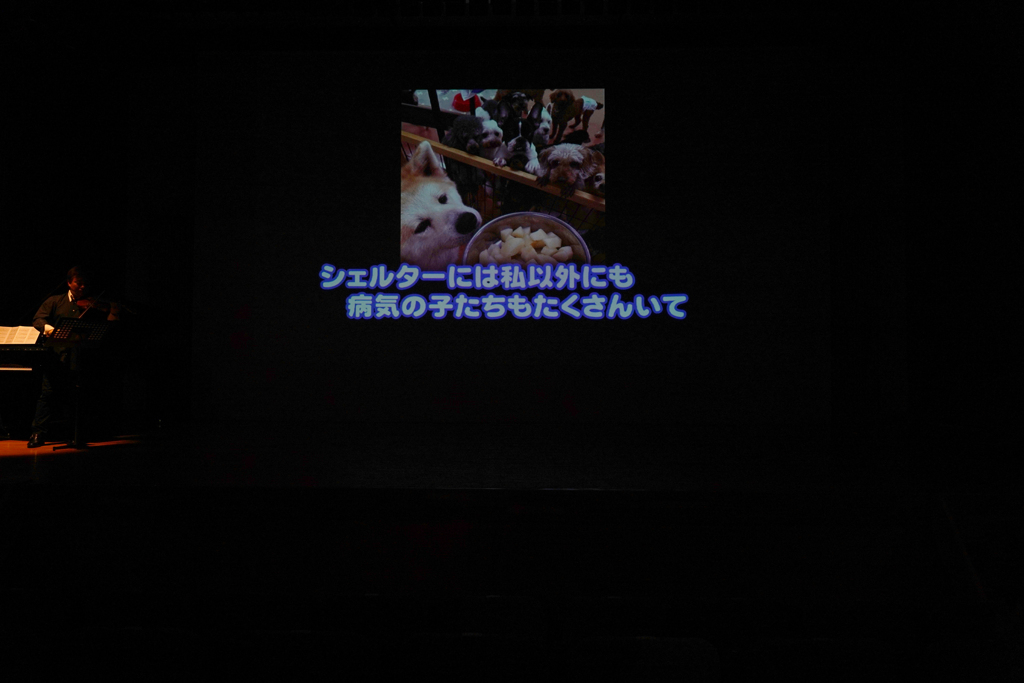 第23回アニマルチャリティコンサートinめぐろパーシモンホール