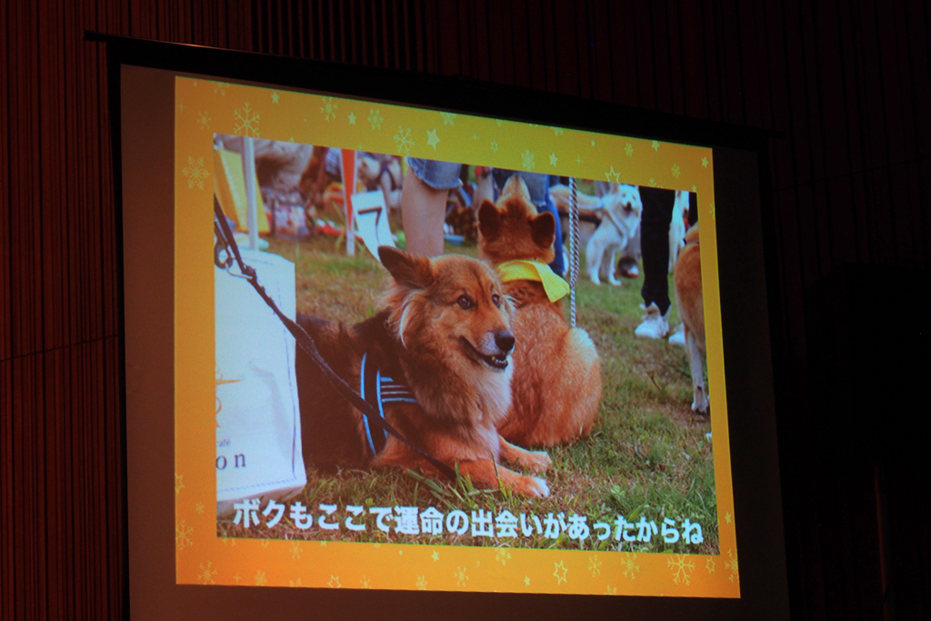 第16回アニマルチャリティコンサートinめぐろパーシモンホール