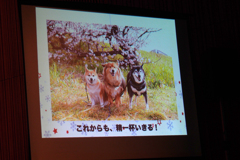 第16回アニマルチャリティコンサートinめぐろパーシモンホール