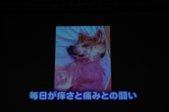 第23回アニマルチャリティコンサートinめぐろパーシモンホール
