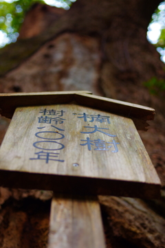 熊野古道