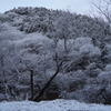 登山口