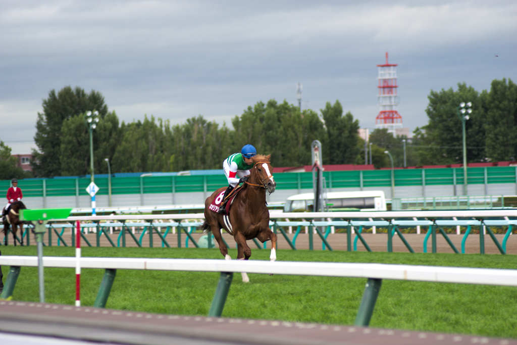 札幌競馬場