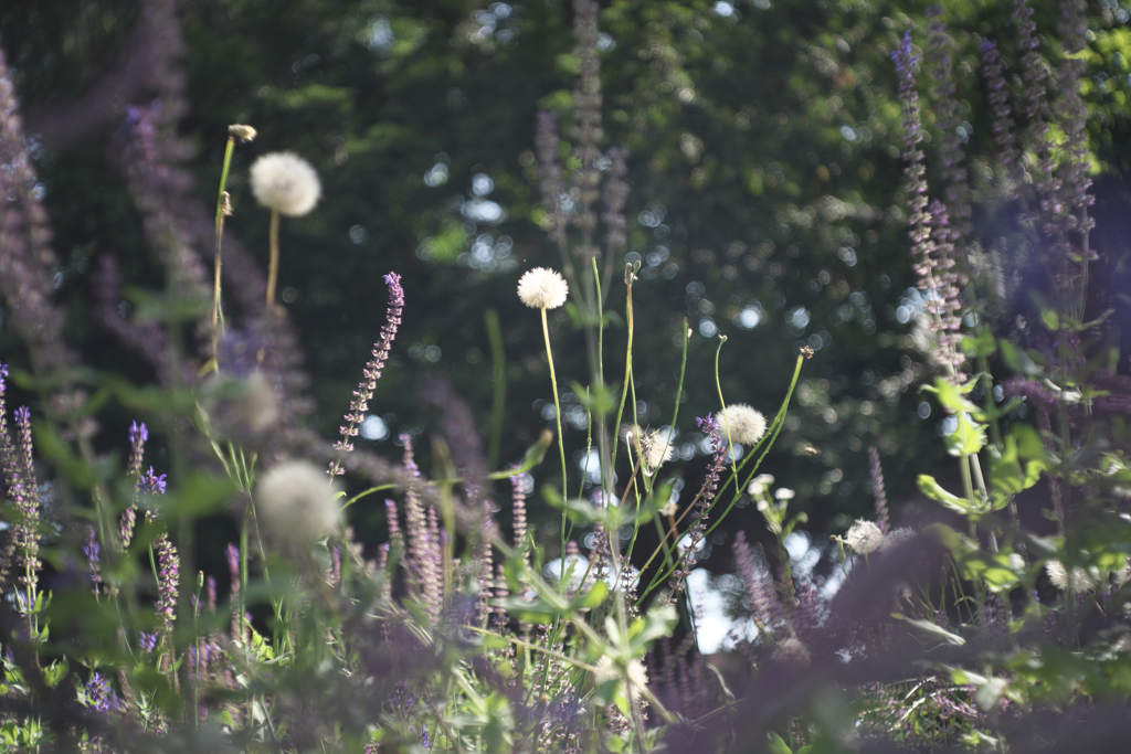 おぉそれっぽい