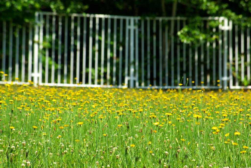本当に人来ないんだね