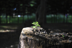 なんかメッセージ性あるよね何も考えてないけど